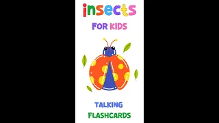 Creepy Crawly Fun: Talking Flashcards for Kids - Learn About Insects