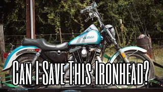 I Bought A Clapped Out Ironhead: 1985 Harley Davidson Sportster Project Motorcycle Part 1