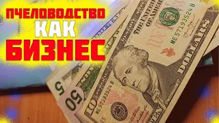 Пчеловодство как бизнес. Бизнес в селе. Информационная поддержка пасеки в Ютуб. Часть 1 (начало)