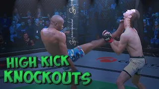 High Kick Knockouts in MMA #3
