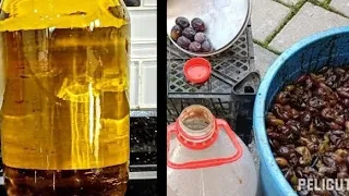 Homemade olive oil press