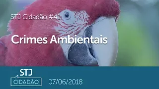 STJ Cidadão #41 - Crimes Ambientais (07/06/2018)