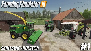 Harvesting Corn & Alfalfa Silage | Schleswig Farm | Timelapse #1 | Farming Simulator 19