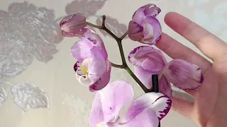 Снова срезаю цветы у орхидеи 🤔