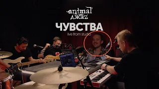 Чувства - Animal Джаz (live from Лайвец | 2021)