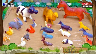 Animals for Kids to Learn | Farm Animals Name and Sound for Children | Muddy Fun Learning