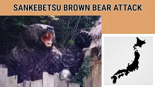 Sankebetsu Brown Bear Attack - The Macabre Story Behind Japan's Deadliest Mauling