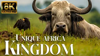 Unique Africa Kingdom 8K - Soothing Relaxing Piano Music & Nature Video UltraHD