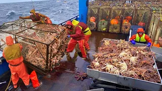 Amazing Kinh Crab Traps on the Modern Vessel - You Won't Believe How We Caught This lots of Crabs