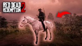 You'll Never Ride Arabian Horses If You Ride This - RDR2