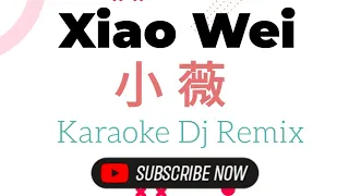 Xiao Wei Karaoke 小薇 Dj Remix (黄品源-Huang Pin Yuan)