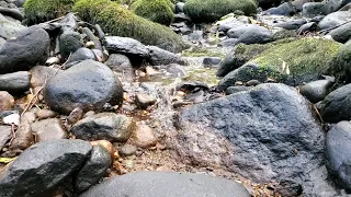 Amazing! Dried up stream starts flowing on camera.