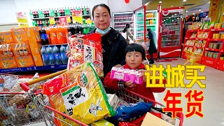 去縣城買年貨，花了517元，看看都有什麼 | It's New Year's Eve! Look what delicious food I have bought