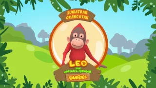 Sumatran Orangutan - Leo The Wildlife Ranger Animal Diaries | Animal Facts for Kids