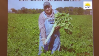 Mimicking Nature: One Farmer's Cover Crop History