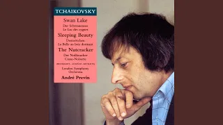 Swan Lake, Op. 20, Act II: No. 10, Scene. Moderato