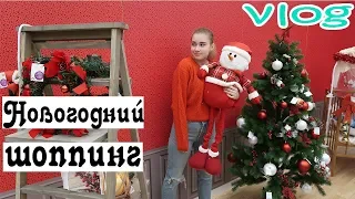 VLOG:Новогодний шоппинг,Ральф Против Интернета💓