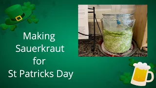 Part 1..Fermenting SAUERKRAUT FOR ST PATRICKS DAY/FERMENTING/EASY #sauerkraut #fermenting