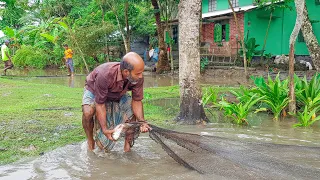 Fantastic Net Fishing After Rain || Catching Big Fish By Village Traditional Fisherman