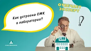 Как устроена система менеджмента качества? Можно ли убрать отдельные пункты СМК?