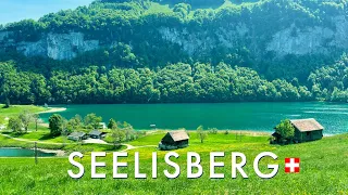 Seelisberg 4K - Breathtaking views and gorgeous scenery in the heart of Switzerland