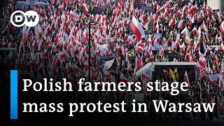 Polish farmers protest against Ukrainian imports | DW News