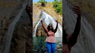 Dudhsagar Waterfall Goa #shorts
