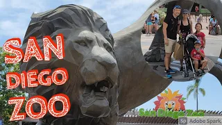 World Famous San Diego Zoo (Guided Bus Tour and Skyfari!)