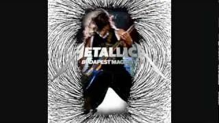 Metallica - Nothing Else Matters [Live Budapest May 14, 2010].flv