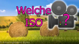 FILMEN LERNEN #3 🧐 Alles über die ISO für Videofilmer | ISO 100 oder 1000?