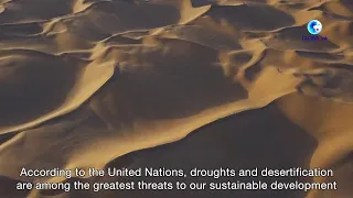 GLOBALink | Xinjiang builds "green barrier" on southwestern edge of Taklimakan Desert