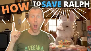 Save Ralph - A short film with Taika Waititi (How YOU Can Help Save Ralph)