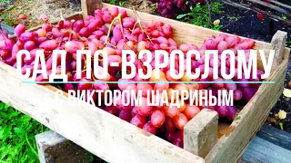 О канале "Сад по - взрослому с Виктором Шадриным"