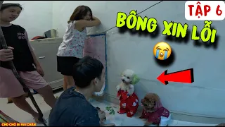 TẬP 6: SU TỐT BỤNG ĐÃ ĐỒNG Ý "THA LỖI" CHO CHỊ HIỀN KHI BỊ NGHI OAN | CHÚ CHÓ ĐI HAI CHÂN