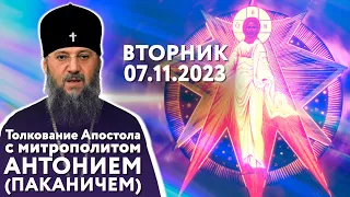 Вторник, 7 ноября 2023 года. Толкование Апостола с митр. Антонием (Паканичем).