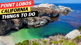 The 9 BEST Things To Do In Point Lobos State Natural Reserve & 1 Thing NOT To Do