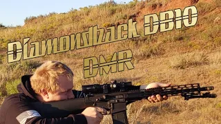 Diamondback DB10 DMR 700 Yard Rifle???
