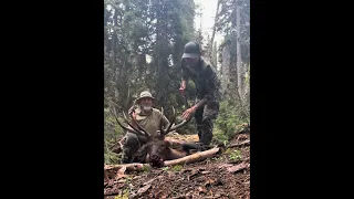 2023 Idaho Successful Elk Bull Hunt