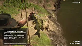 RDR2 - What happens if you hold a Caught Fish in Your Hand for a long Time