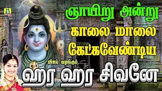 ஞாயிறுக்கிழமை காலை மாலை கேட்கவேண்டிய சிவன் பாடல்கள் HARA HARA SIVANE SUPER HIT SIVAN SONGS