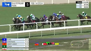 Gulfstream Park February 14, 2024 Race 5