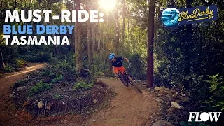 Flow in the Forest: Blue Derby Mountain Bike Trails, Tasmania