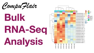 RNA-seq workflow: exploratory & differential expression analysis | Bioconductor rnaseqGene package