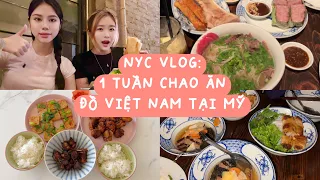 vlog: 1 tuần ăn đồ Việt Nam tại Mỹ 🇻🇳