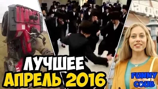 Funny COUB - Лучшее за АПРЕЛЬ 2016