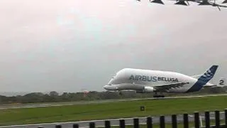 Beluga A300-600 taking off from Manchester