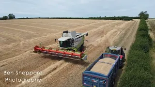 Harvest 2022 Claas Lexion 580+ Harvesting wheat