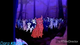 [Warriors Cats] | Коты Воители | Смерть Звездоцапа | Я монстр | Заказ