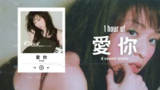 王心凌〈愛你〉1 Hour Loop Music ♾️一小時循環播放♾️