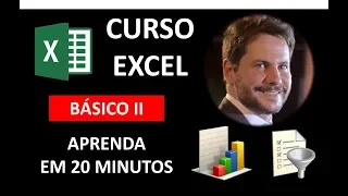 Basic Excel Course II with Professional